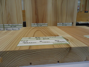 topics20121108005.jpg